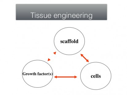 scaffolds-in-stem-cell-therapy-drsandeep-c-agrawal-agrasen-hospital-gondia-india-wwwagrasenorthocom-2-638